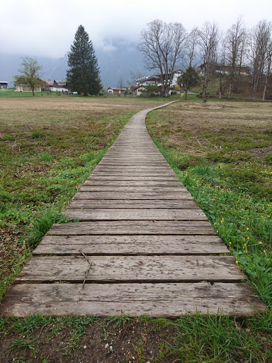 Holzsteg - Visual