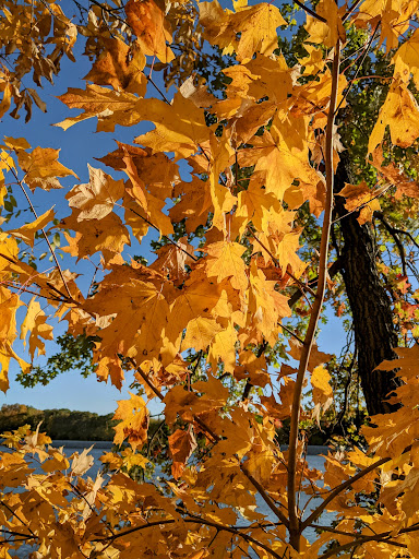 Timber Point Trail - Visual