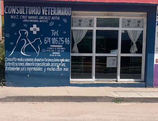 Veterinaria Consulta Médica Animal
