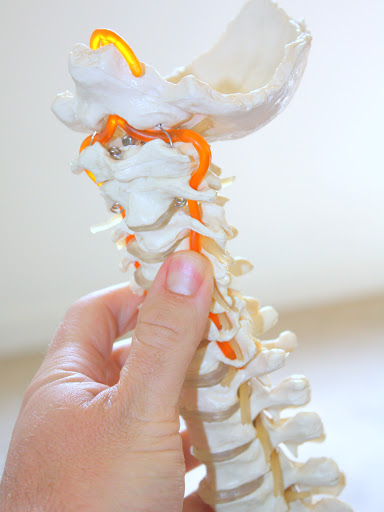 PhysioFirst - Visual