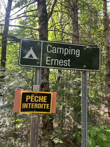 Camping Ernest - Visual