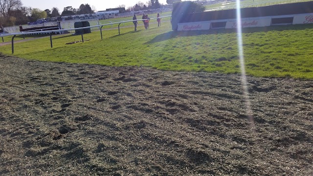 Cheltenham Racecourse