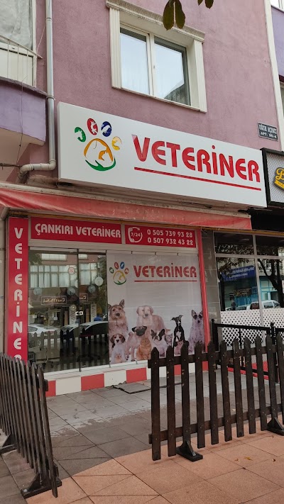 Çankırı veteriner