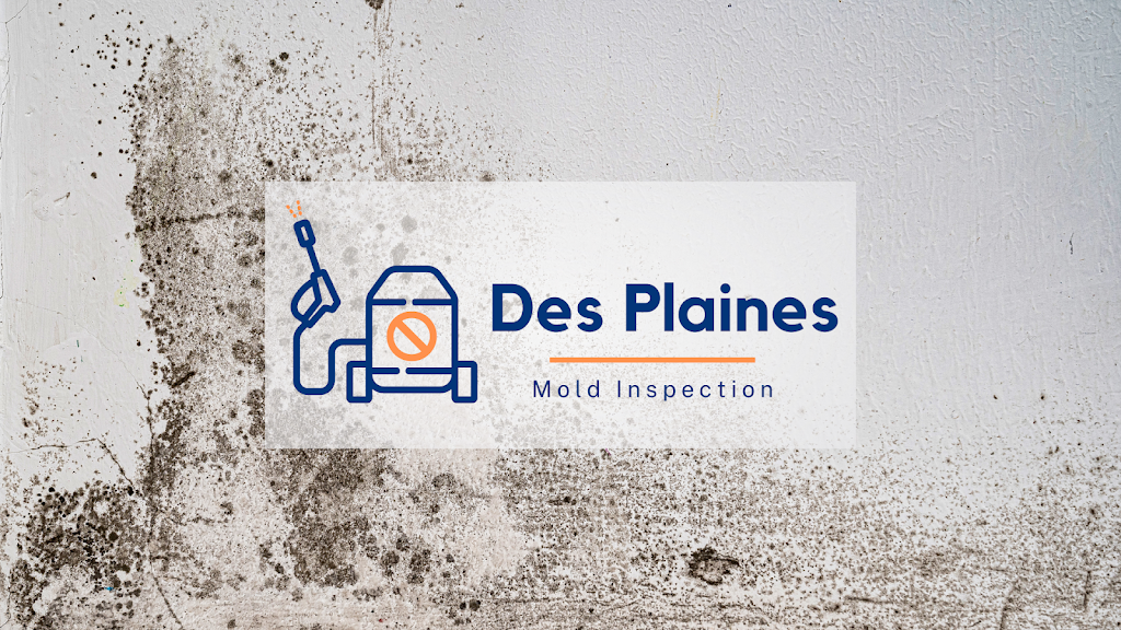 Des Plaines Mold Inspection photo
