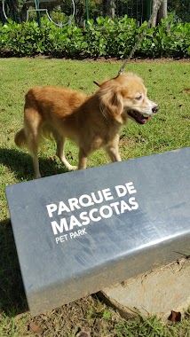 Dog Park, Author: Carlos Jiménez