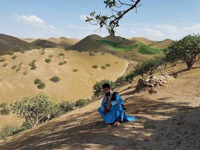 حبیب الله جمشیدی