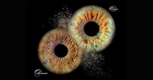 Iristellar Santa Cruz