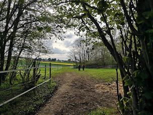 Photo n°20 de CENTRE SHENYU à Saint-Vincent-des-Bois (Professeur de yoga)