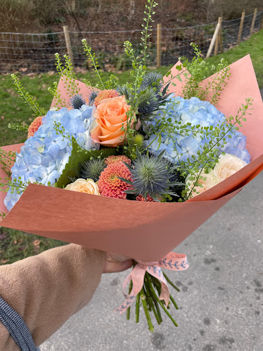 Floward UK - Visual