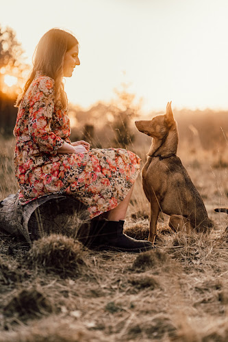 Buddog Coaching photo