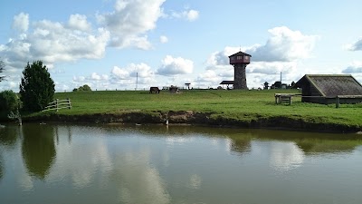 Photos of Riga Zoo affiliate "Cīruļi&rdquo;