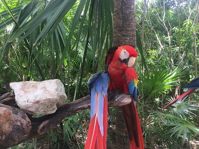 Photos of Xel-ha National Park