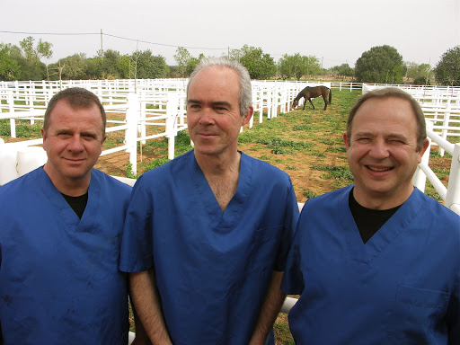 Clínica Equina Mallorca