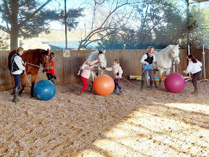 Photo n°18 de Charlotte Pantos - Ferme équestre éthologique & pédagogique à Bessenay (Centre de randonnée équestre)