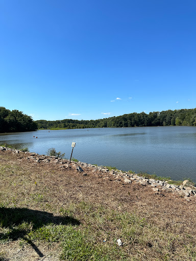 Accotink Dam - Thumbnail