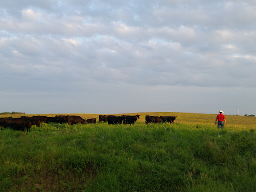 Lienetics Ranch - Visual