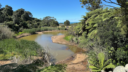 Waihi Beach Trig - Thumbnail