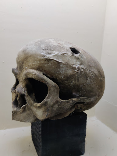 Museo Guanche - Thumbnail
