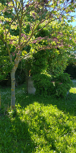 Giardino della Chiesa - Thumbnail