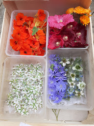 Photo n°9 de Restaurant Le Mont Barral à Châtillon-en-Diois (Restaurant)