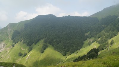 Bosco del Fatonero