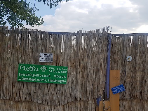 Életfa állatsimogató, Author: Bence Feher