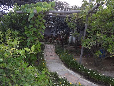 Photos of Hospedaje Casa Sweet Home Rural