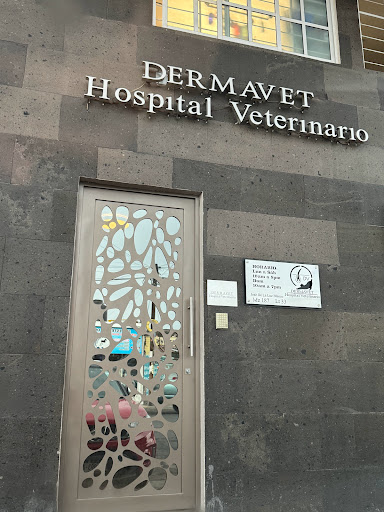 Hospital Veterinario DERMAVET - Thumbnail