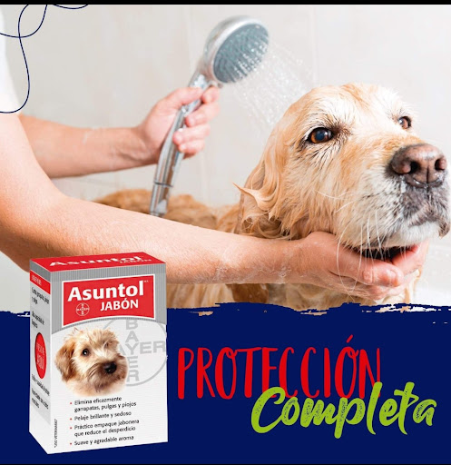 Farmacia Veterinaria el Novillo