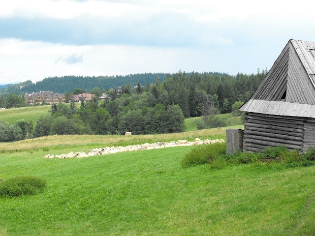 Tatra National Park