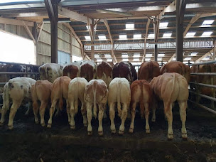 Photo n°16 de La Ferme des Îles Morice à Saint-Molf (Ferme)