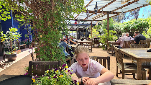 Top Pub - Thumbnail
