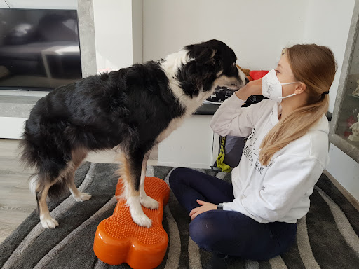 Caroline Wagner - Canis Curatio Hundephysiotherapie, Haiger - Thumbnail