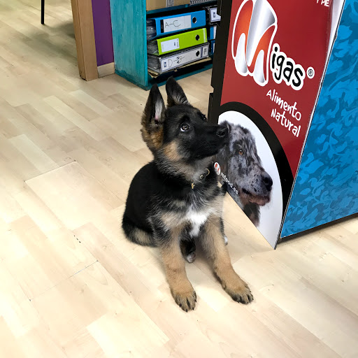 PATRICIA ALVAREZ VETERINARIA