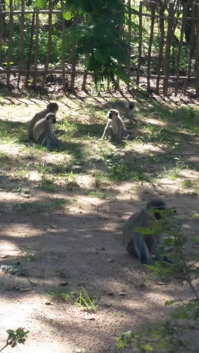 Photos of Maduma Boma - Self Catering Chalets
