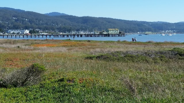 Maverick's Beach