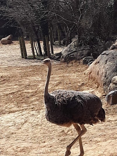 The Maryland Zoo in Baltimore