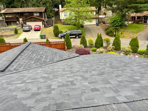 Leos Roofing