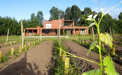 Photos of Finca Ogawa