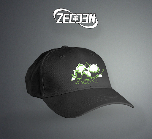 Zeccen - Visual