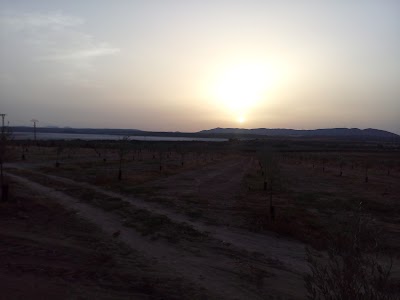 Photos of Camping Rural Fuente de Piedra