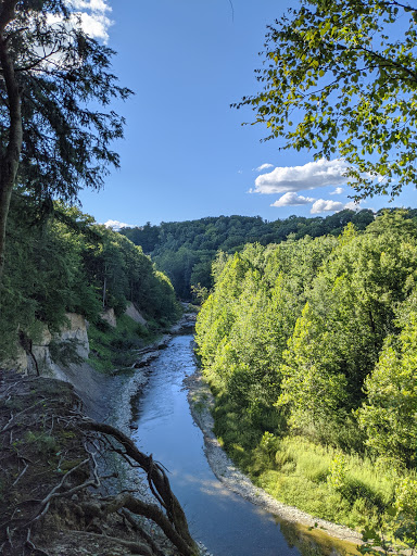Monkey Run, Cayuga Trail