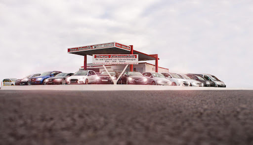 Bravo Automobile Partner von Mobile.de
