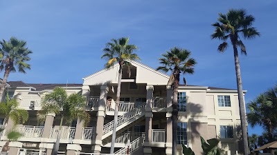 lodging