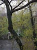 Фотография Общежитие 7,8. ОНАПТ, Тенистая улица, Одесса, Украина