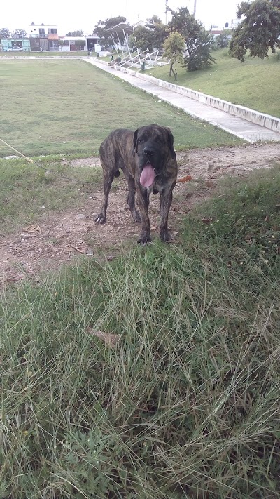 Photos of Campo Hundido