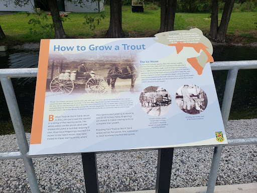 Fish Hatchery - Visual
