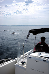 Photo n°31 de GAGARSKIP40 à Capbreton (Agence d'excursions en bateau)