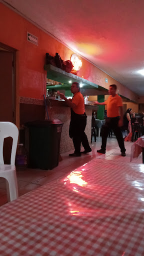 Video Bar Cachorros - Thumbnail
