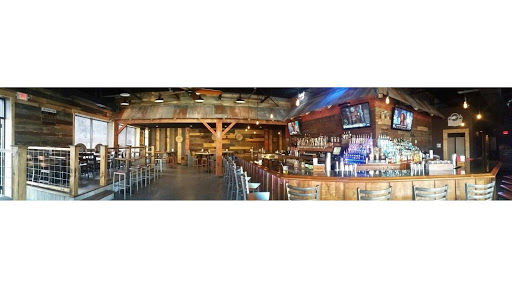 Pub 67 - Visual